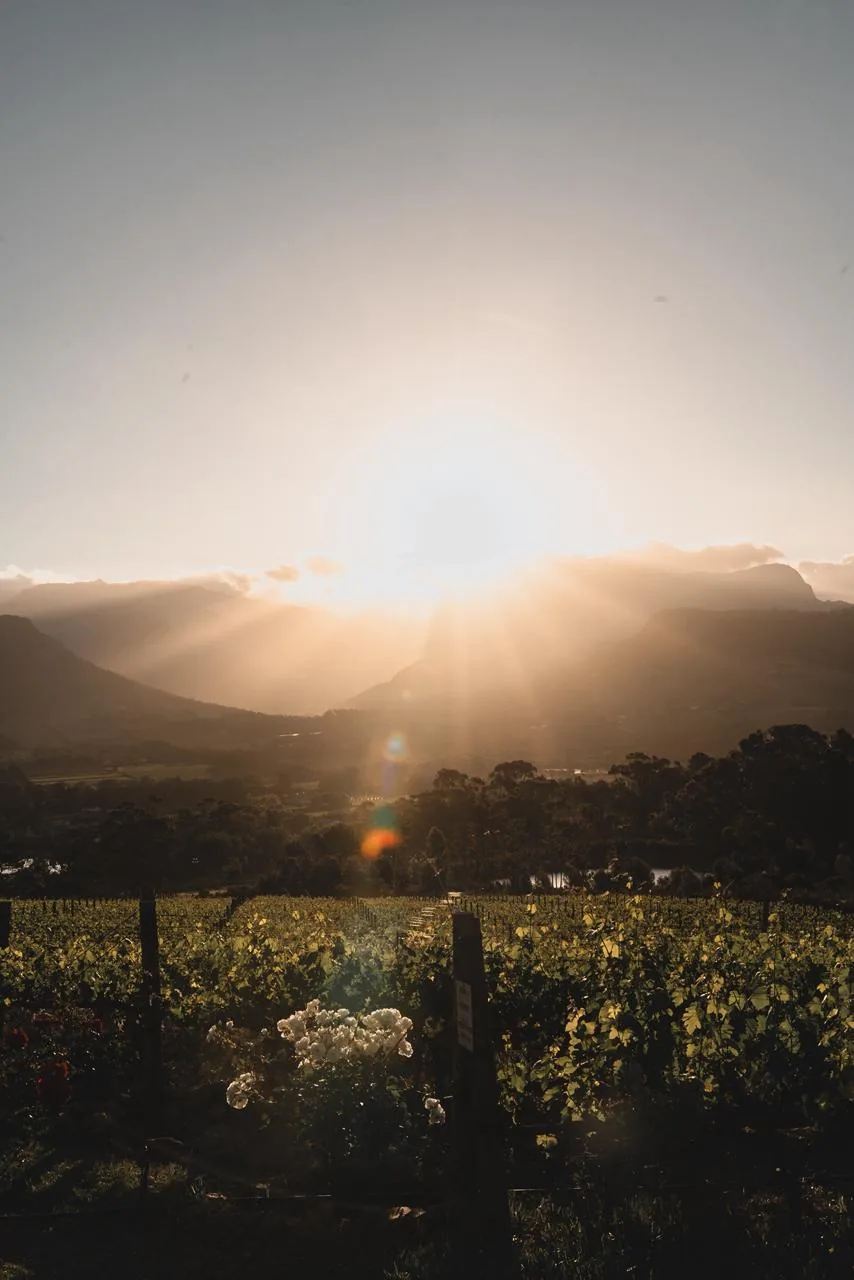 O vale de Franschhoek ao pôr do sol, visto de La Petite Ferme.