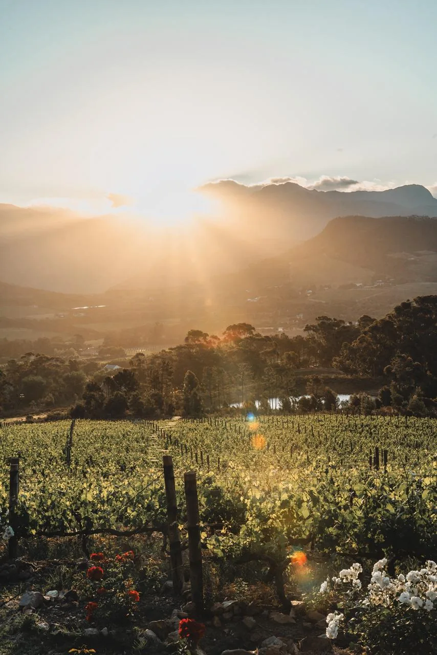 Franschhoek
