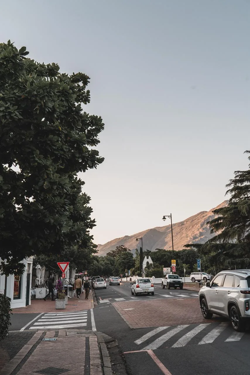 Rua arborizada durante a passagem por Stellenbosch.