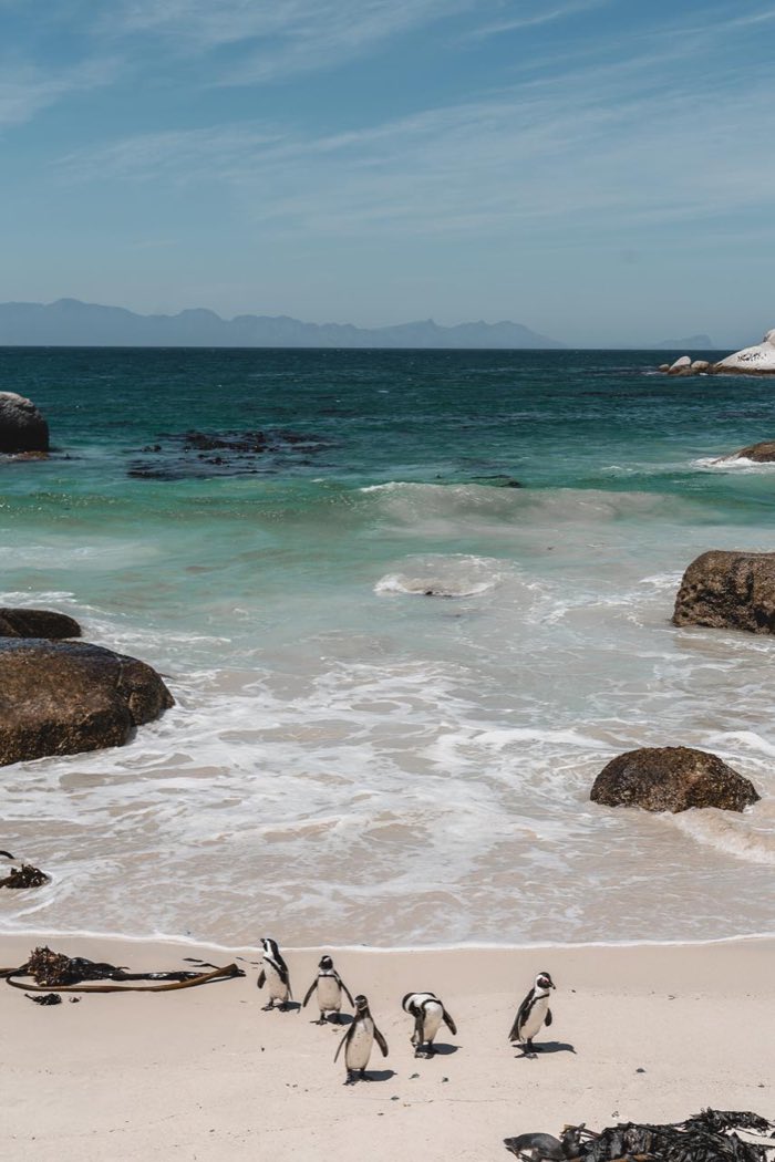 A paisagem que deu escala e contexto ao percurso por Península do Cabo.