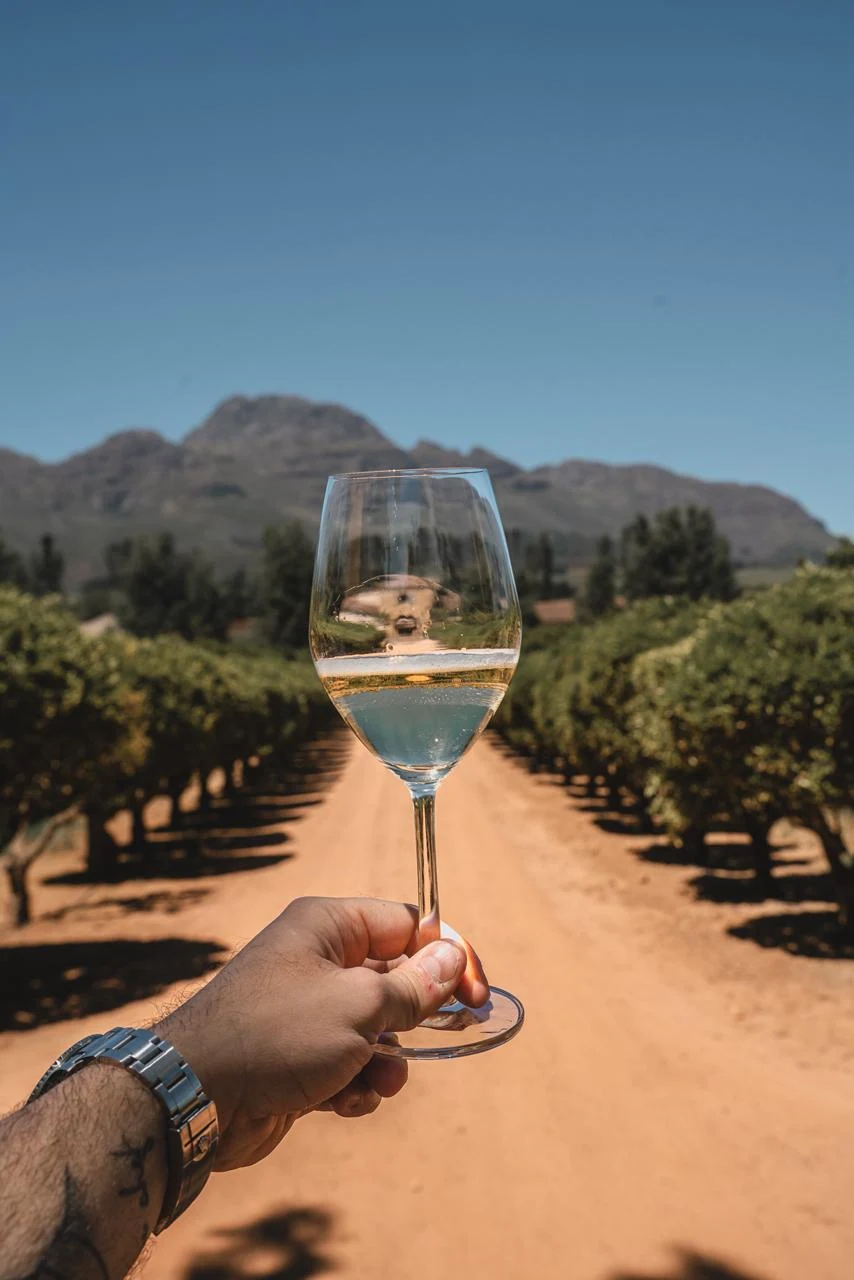 A rua, o solo e o vinho — STELLENBOSCH